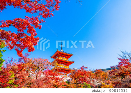 清水寺の三重塔と紅葉 90815552