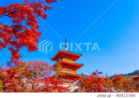 清水寺の三重塔と紅葉 清水寺の三重塔と紅葉 90815560