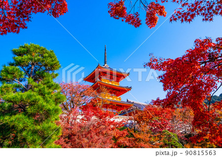 清水寺の三重塔と紅葉 清水寺の三重塔と紅葉 90815563