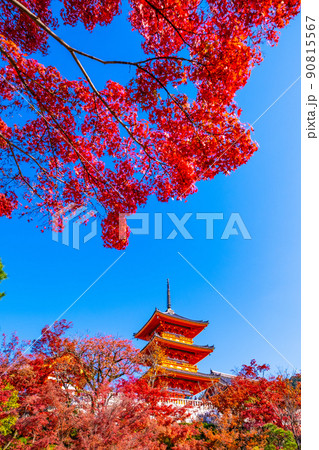 清水寺の三重塔と紅葉 90815567