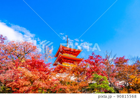 清水寺の三重塔と紅葉 90815568