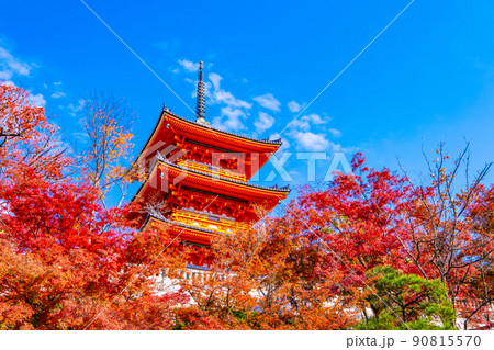 清水寺の三重塔と紅葉 90815570