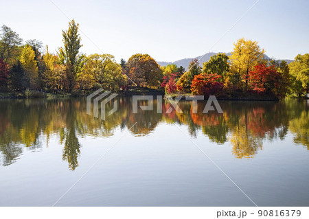 中島公園の紅葉 中島公園の紅葉 90816379