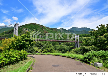神奈川県立秦野戸川公園・風の吊橋 90819644