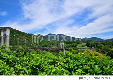 神奈川県立秦野戸川公園・風の吊橋 神奈川県立秦野戸川公園・風の吊橋 90819703