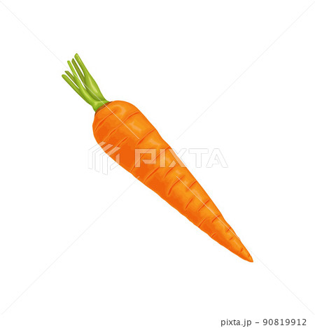 Carrot. Image of a ripe carrot. Vitamin vegetable. Organic food. Orange carrots. Vector illustration isolated on a white background Carrot. Image of a ripe carrot. Vitamin vegetable. Organic food. Orange carrots. Vector illustration isolated on a white background 90819912