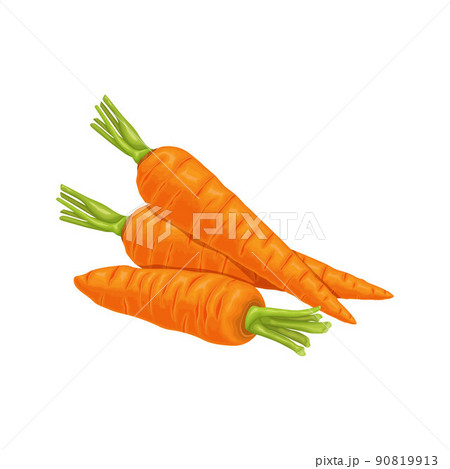 Carrot. Image of a ripe carrot. Vitamin vegetable. Organic food. Orange carrots. Vector illustration isolated on a white background Carrot. Image of a ripe carrot. Vitamin vegetable. Organic food. Orange carrots. Vector illustration isolated on a white background 90819913