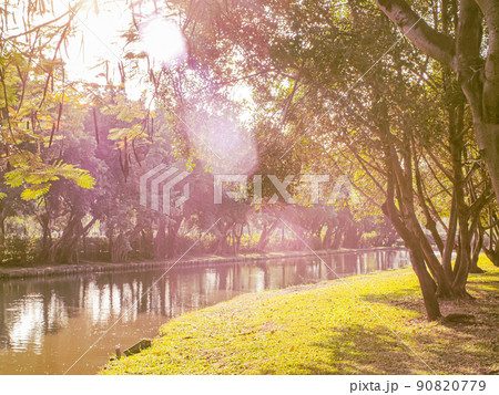Morning Sunlight through Beautiful A Calm Lake in city Park Morning Sunlight through Beautiful A Calm Lake in city Park 90820779