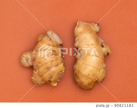 ショウガ 90821183