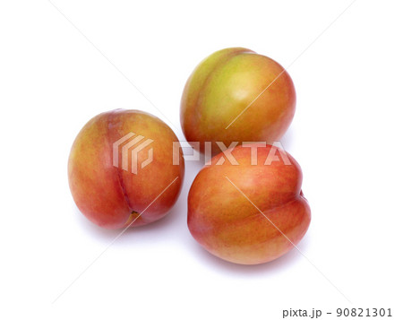 プラム　大石早生　 90821301