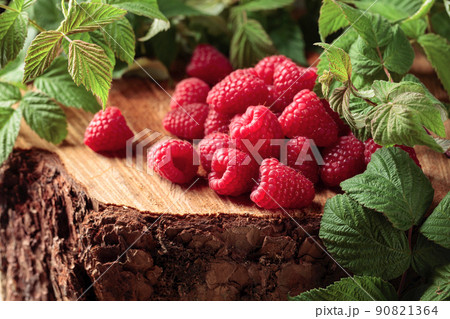 Fresh juicy raspberries with leaves. Fresh juicy raspberries with leaves. 90821364