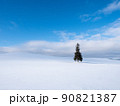 雪の丘に立つ一本のクリスマスツリーのような針葉樹の木 90821387