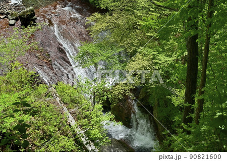 蓼科高原横谷峡の遊歩道展望台からの王滝 蓼科高原横谷峡の遊歩道展望台からの王滝 90821600