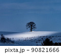 雲の隙間から差し込んだ冬の陽光に照らされた丘の木 90821666