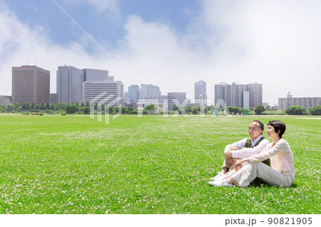 オシドリ夫婦イメージ オシドリ夫婦イメージ 90821905