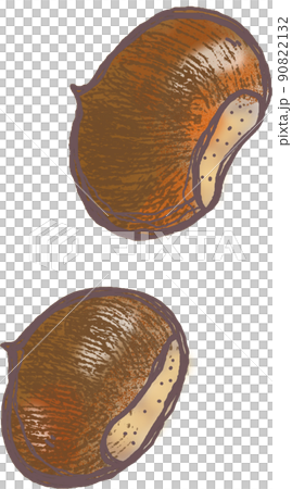 クリが2つ落ちている　転がっている栗 90822132