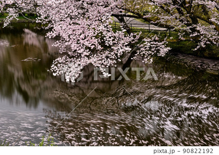 桜満開の卯辰山 桜満開の卯辰山 90822192