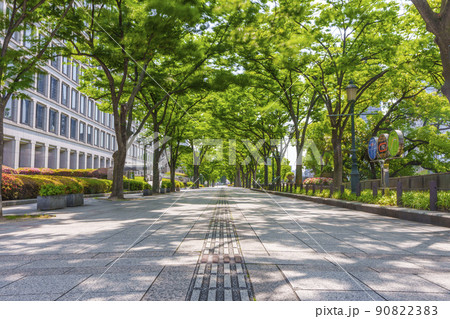 みおつくしプロムナード　大阪市役所の南側にあるケヤキ並木の遊歩道 90822383