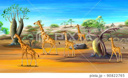 African Giraffes Family Walking at the Savannah 90822765