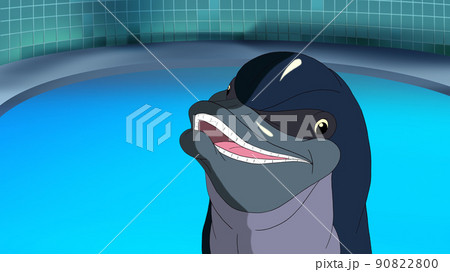 Smiling Dolphin in a pool 90822800