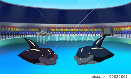 Two Smiling Dolphins in a Dolphinarium in the Early Morning. 90822801