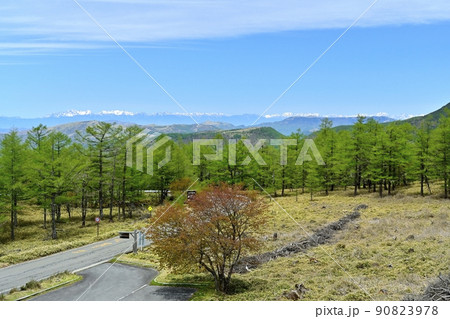 メルヘン街道(R299)蓼科側の日向木場展望台からの北アルプス遠望 メルヘン街道(R299)蓼科側の日向木場展望台からの北アルプス遠望 90823978