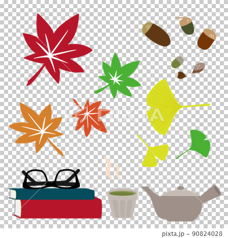 秋の紅葉 木の実 小物 秋の紅葉 木の実 小物 90824028