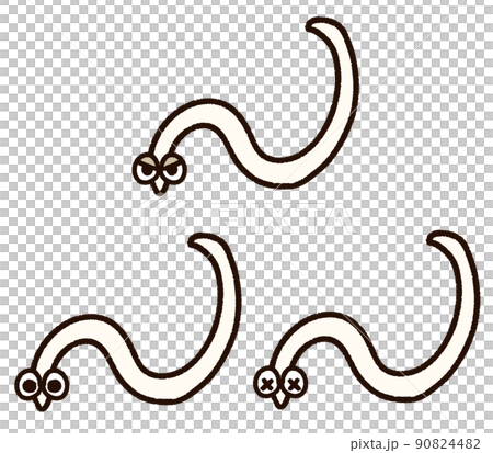 異尖線虫字符集 90824482