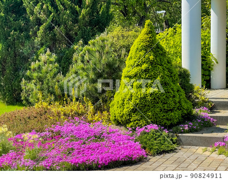 Garden landscape design with flowering plants and ornamental evergreens. Gardening concept. 90824911