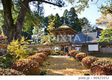 高徳寺へ行きました #14 高徳寺へ行きました #14 90825052