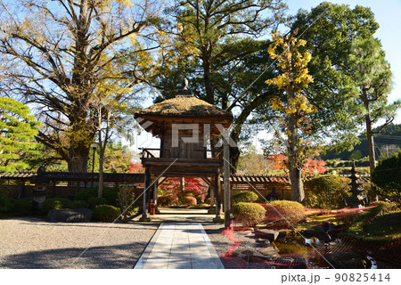 高徳寺へ行きました #28 高徳寺へ行きました #28 90825414