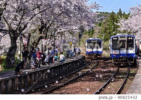 桜満開ののと鉄道さくら駅 桜満開ののと鉄道さくら駅 90825432