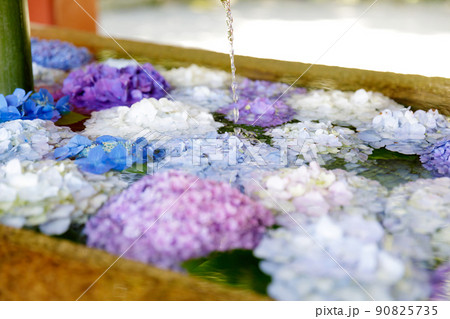 鶴岡八幡宮 花手水 鶴岡八幡宮 花手水 90825735