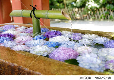 鶴岡八幡宮　花手水 90825736