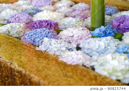 鶴岡八幡宮 花手水の写真素材
