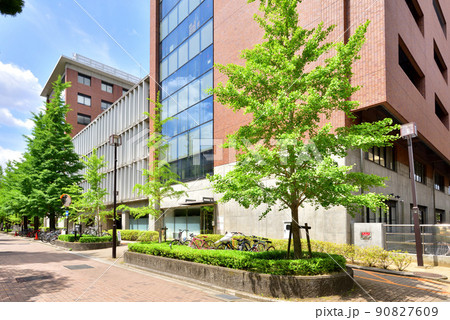 京都大学北部構内　理系キャンパスメインストリート　理学研究科　 90827609