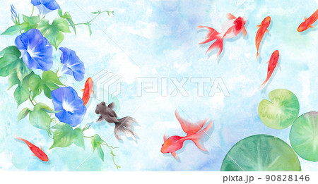 金魚とアサガオと睡蓮の葉で構成した 夏のイメージ背景 水彩イラスト 暑中お見舞い 金魚の影あり のイラスト素材
