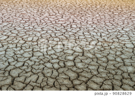 乾燥 背景 地面 90828629