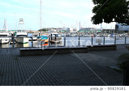 横浜ベイサイドの景色 横浜ベイサイドの景色 90829161