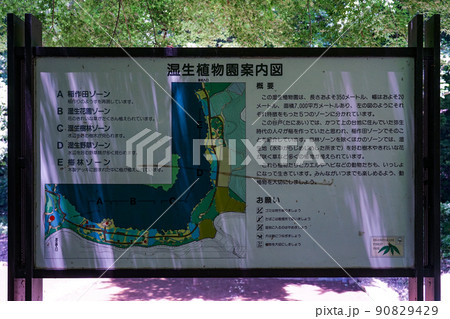 東高根森林公園 湿生植物園 案内板（神奈川県川崎市） 90829429