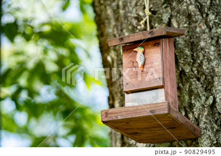 鳥の巣箱 森の中 鳥の巣箱 森の中 90829495