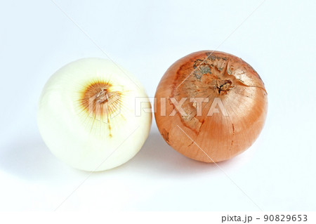 たまねぎ(サラたまちゃん) たまねぎ(サラたまちゃん) 90829653