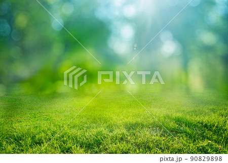 natural grass background with blurred bokeh and sun 90829898