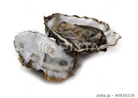 Opened oyster Opened oyster 90830226