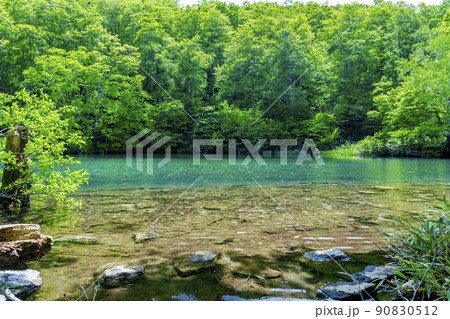 初夏のドッコ沼　新緑の風景　山形県山形市　　 90830512