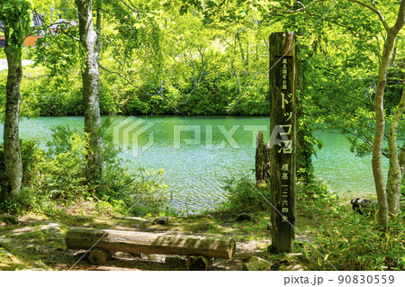 初夏のドッコ沼 新緑の風景 山形県山形市   初夏のドッコ沼 新緑の風景 山形県山形市   90830559