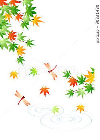 赤とんぼと紅葉の残暑見舞いはがきタテ 赤とんぼと紅葉の残暑見舞いはがきタテ 90831480