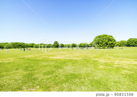 緑と青空の広がる風景 90831506
