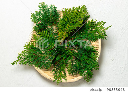 合成背景用ざる 90833048