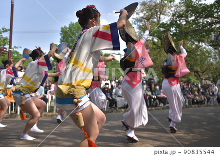 阿波踊り　春の祭典　徳島市　学生蓮のハッピ踊り　 90835544